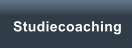 Studiecoaching